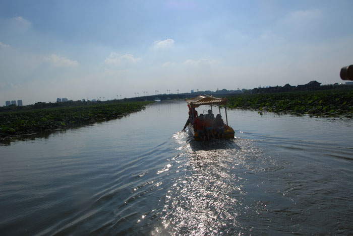 Ϧ�������ӭ�������ϰ�